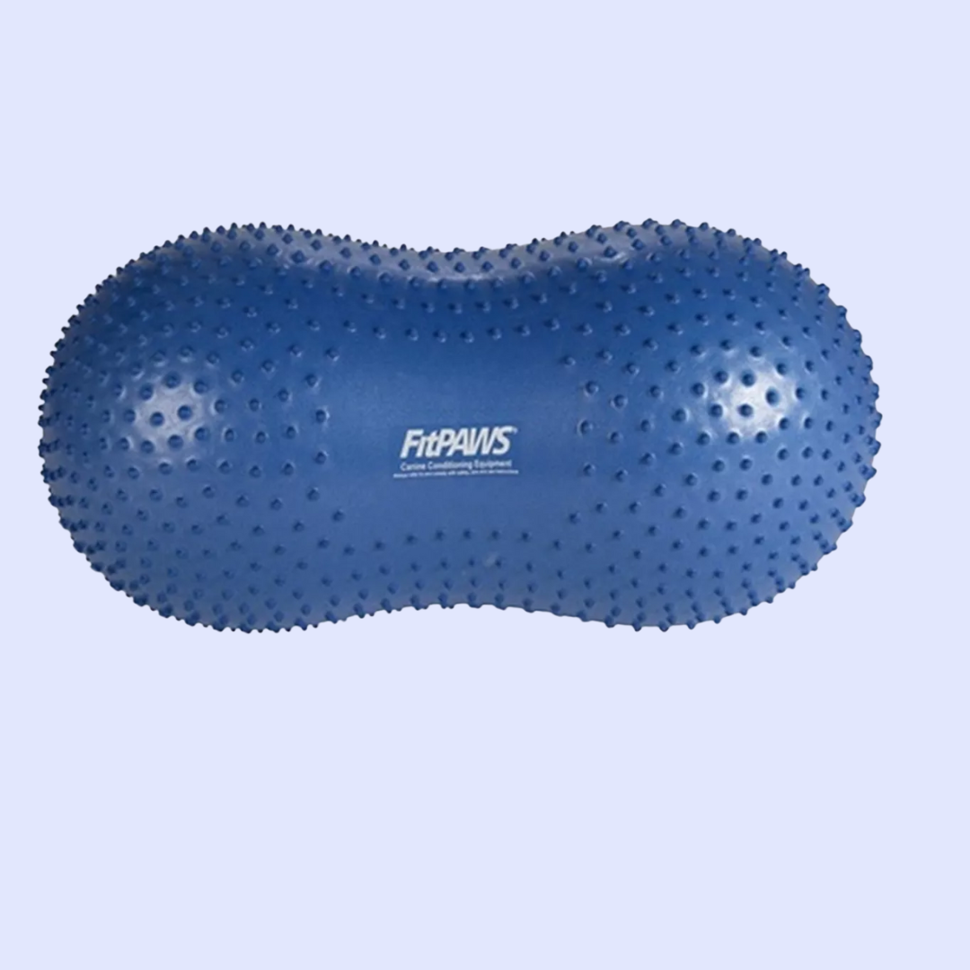 Ballon d'équilibre pour chien TRAX Peanut – FitPAWS