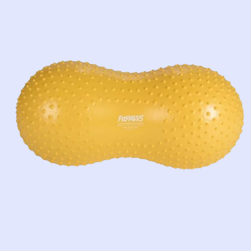 Ballon d'équilibre pour chien TRAX Peanut – FitPAWS