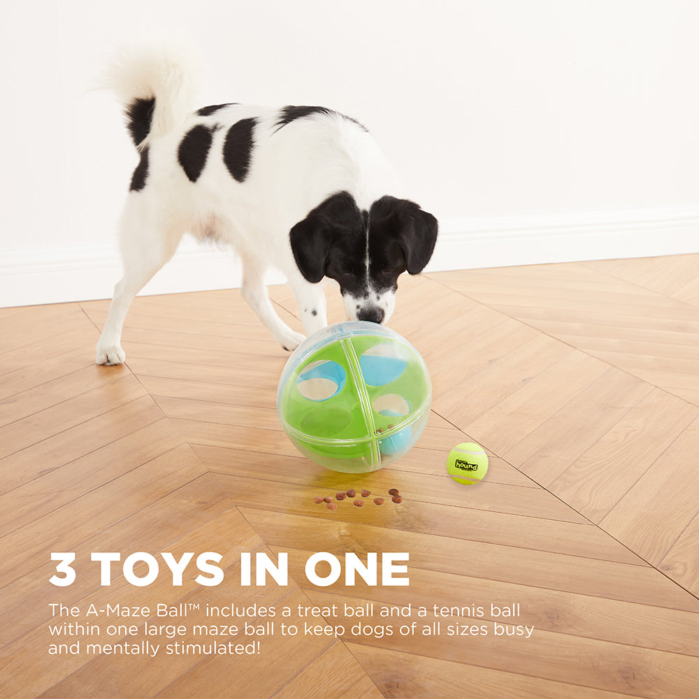 Chien noir et blanc jouant avec la boule, trois jouets en un