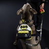 Harnais pour Chien avec Mini Sac à Dos - Cosplay Batman™  LOUNGEFLY- PRÉCOMMANDE