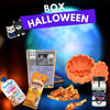 🎃 Box Halloween pour chien – Édition Limitée Loki & Luna