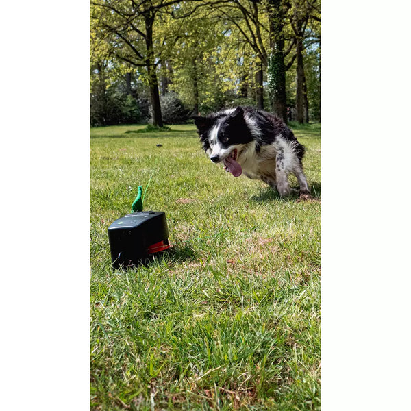 Dog Comets Star Chaser – Jouet Interactif pour Chien avec Leurre Motorisé