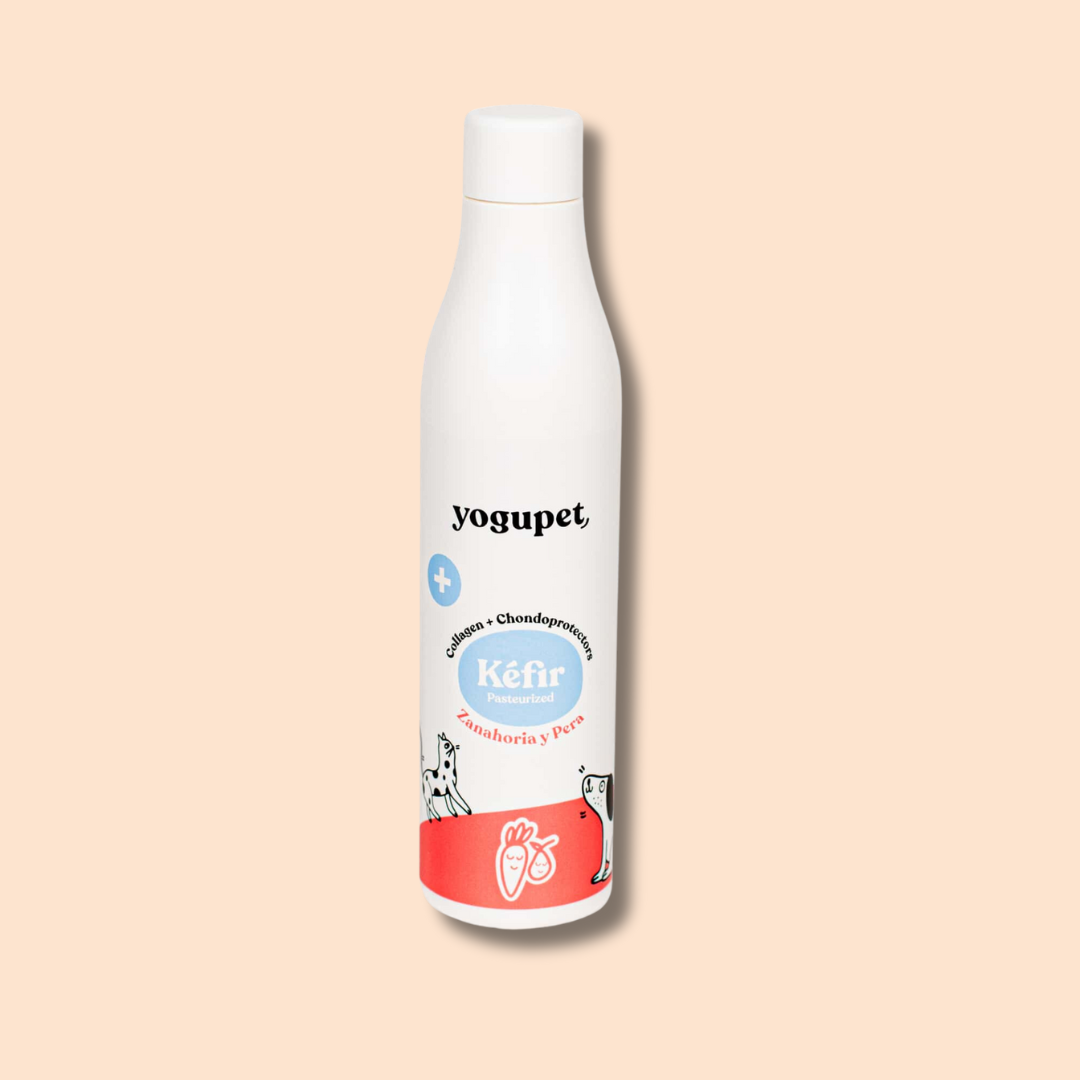 Yaourt au kéfir carotte & poire pour chien & chat – Yogupet