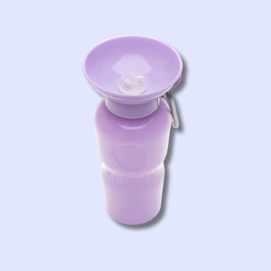 Gourde pour chien avec distributeur d'eau 65 cl lilas – Springer
