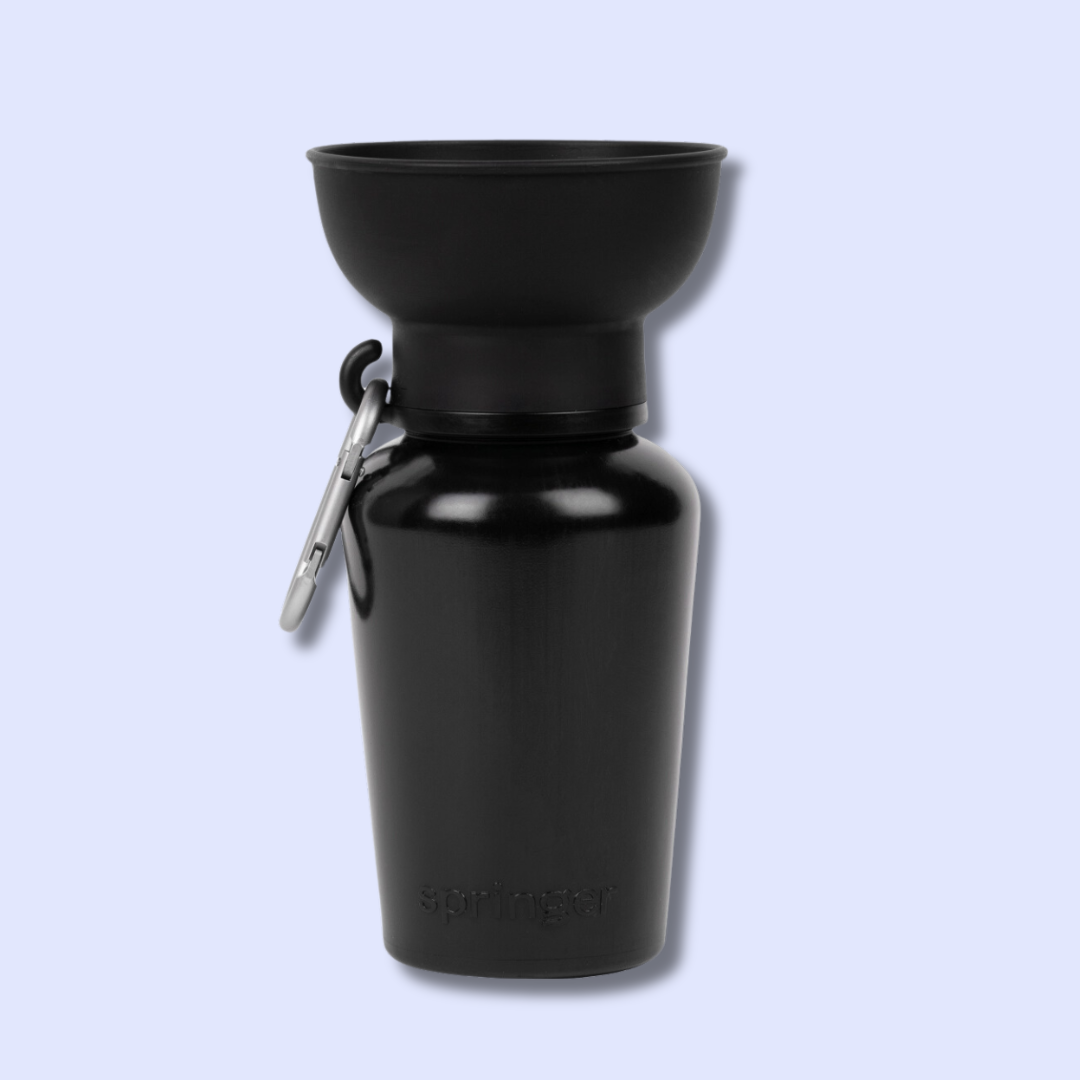 Gourde pour chien avec bol pliable 59 cl – Springer