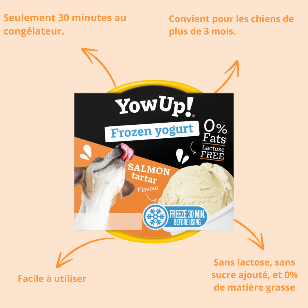Yaourt glacé pour chien & chat tartare de saumon – YowUp!