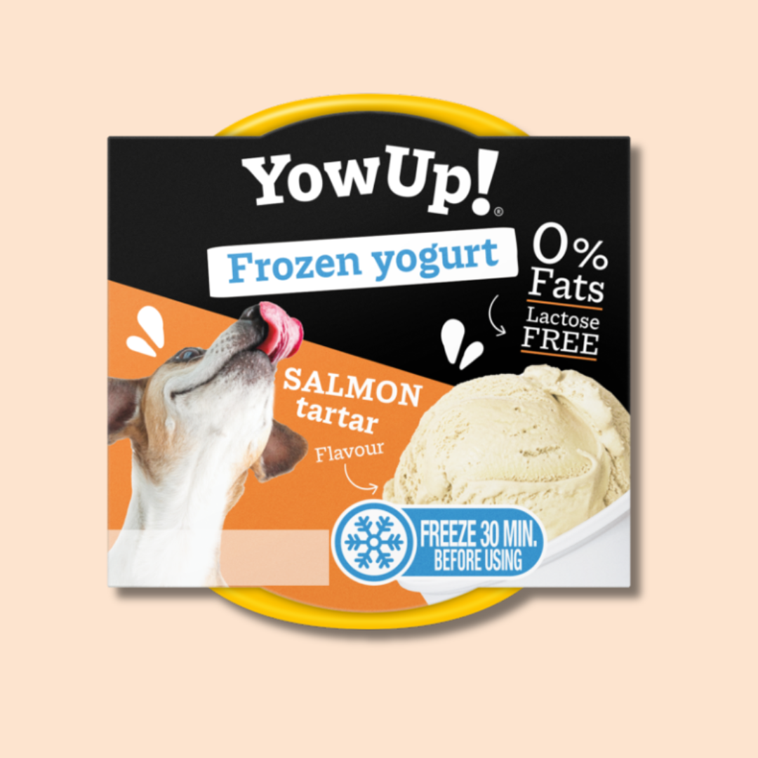 Yaourt glacé pour chien & chat tartare de saumon – YowUp!