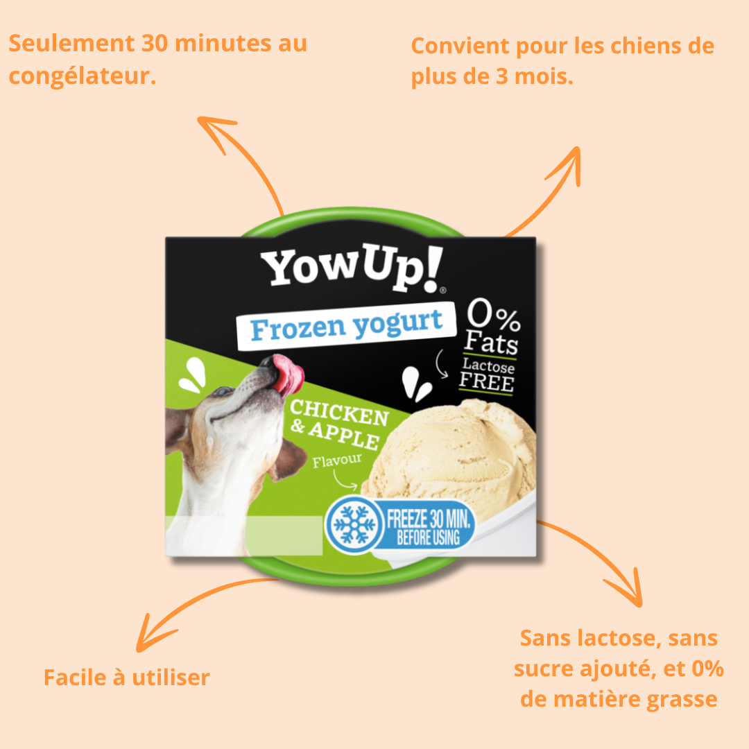 Yaourt glacé pour chien & chat poulet & pomme – YowUp!