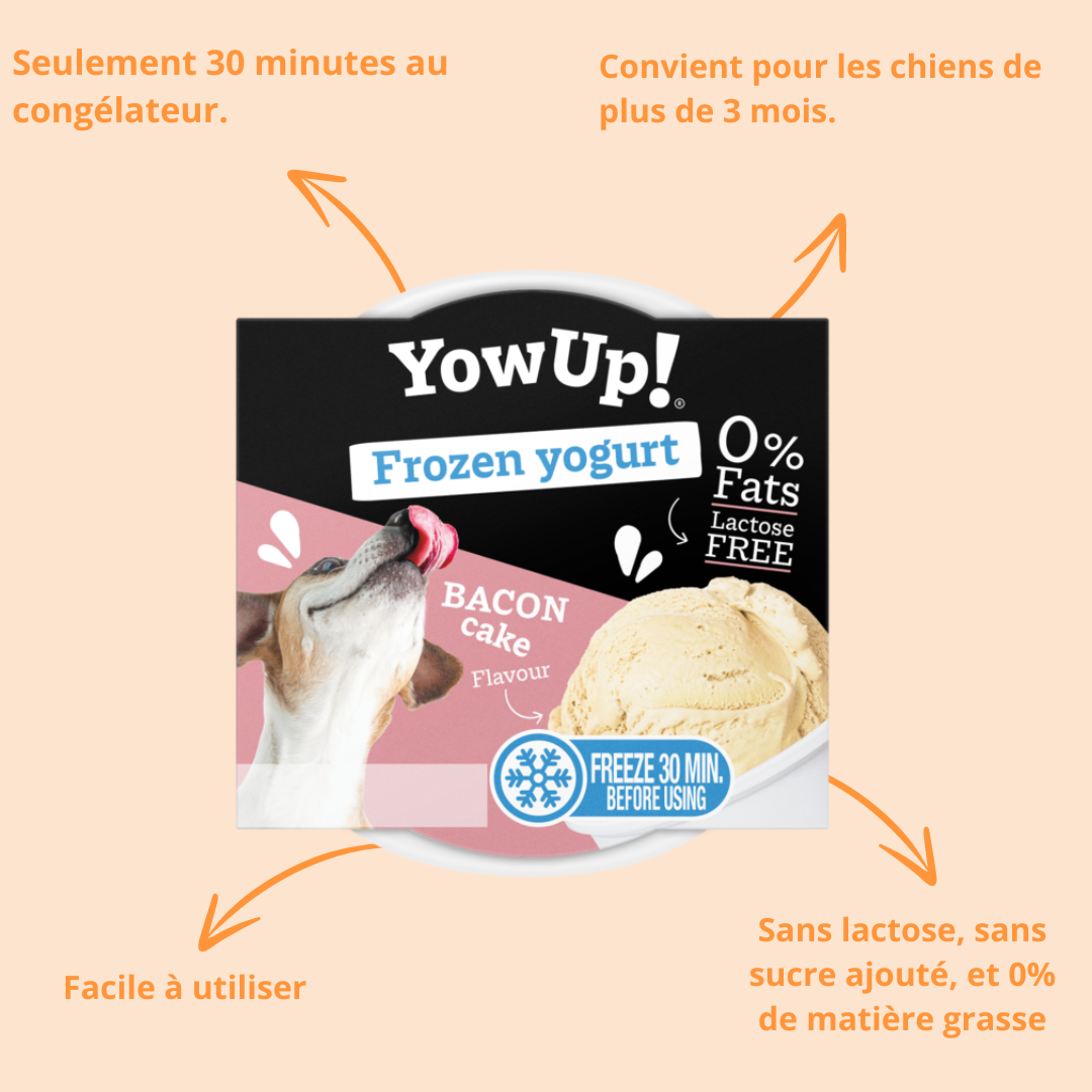 Yaourt glacé pour chien & chat gâteau au bacon – YowUp!