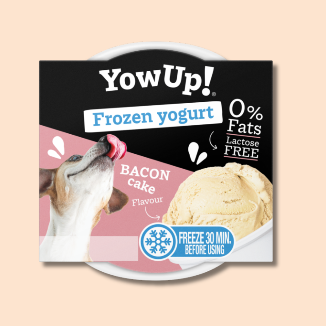 Yaourt glacé pour chien & chat gâteau au bacon – YowUp!