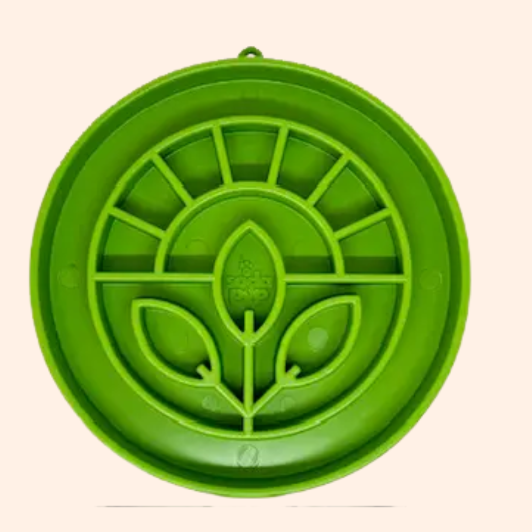 Gamelle anti-glouton pour chien Garden – SodaPup