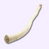 Queue de bœuf 35-45 cm