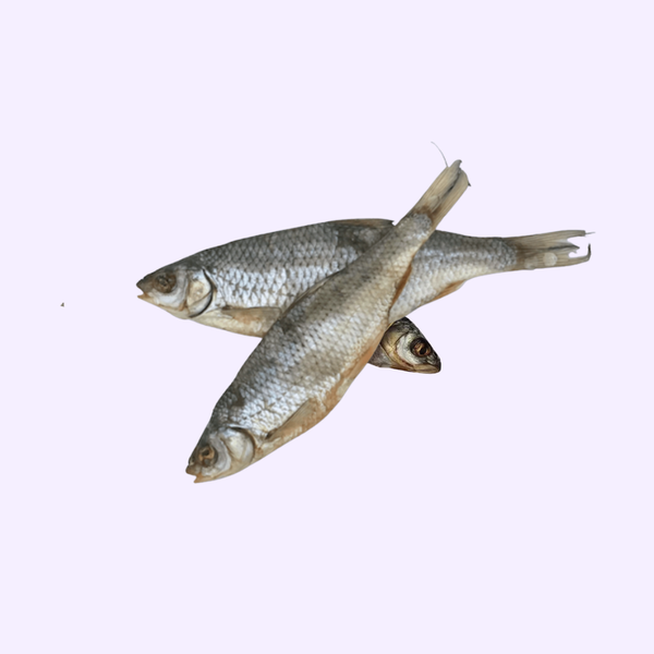 Friandises Naturelles Gardon –100g