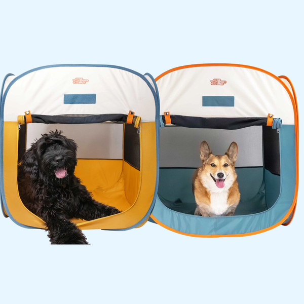 Tente pliante pour chien K9 Sport Sack – repos en extérieur – Loki et Luna
