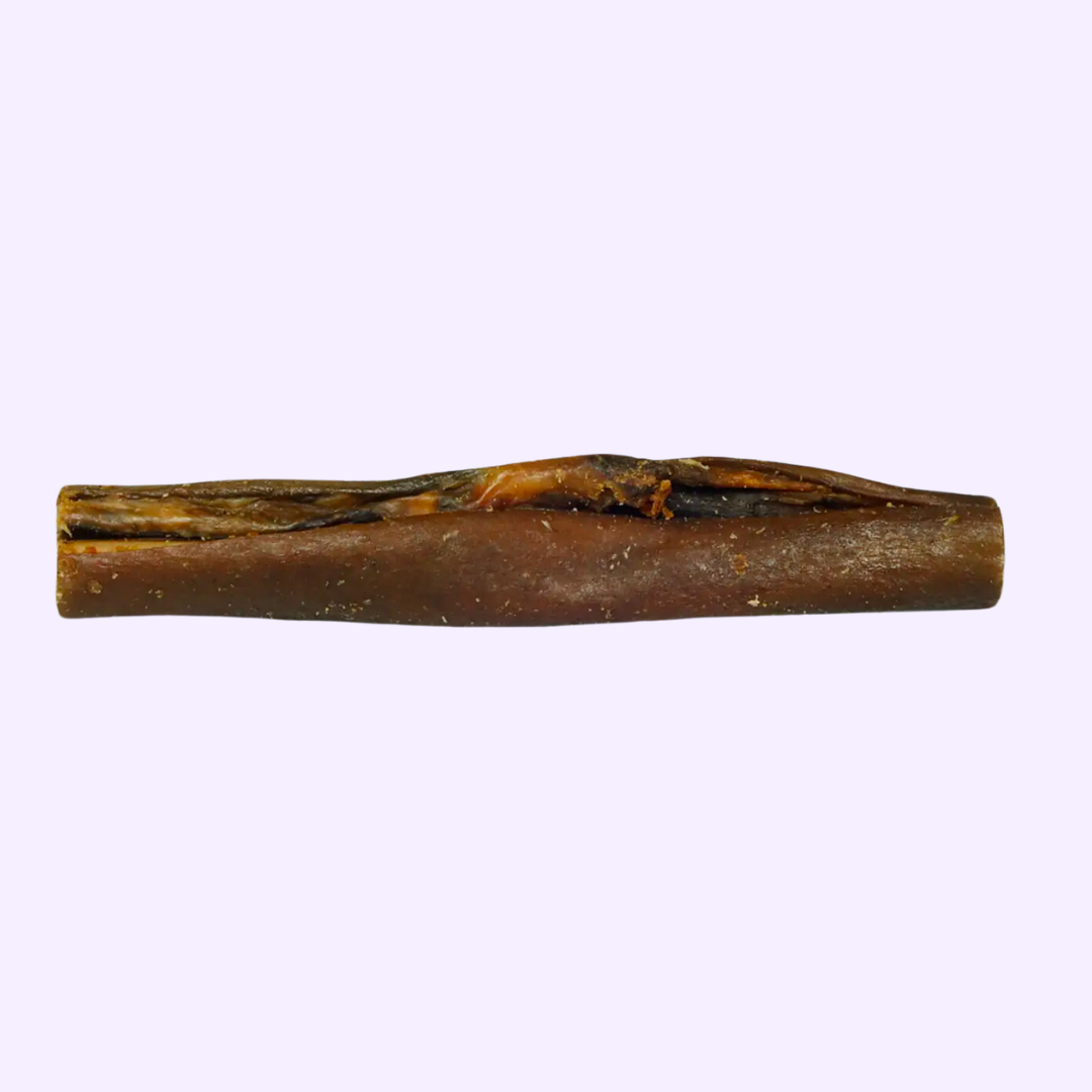 Peau de sanglier pour chien – mastication naturelle