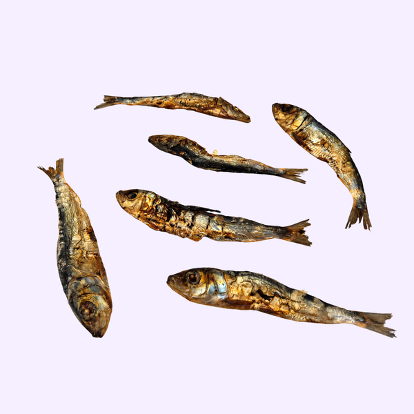 Sardines séchées pour chien – friandise naturelle – 100 g
