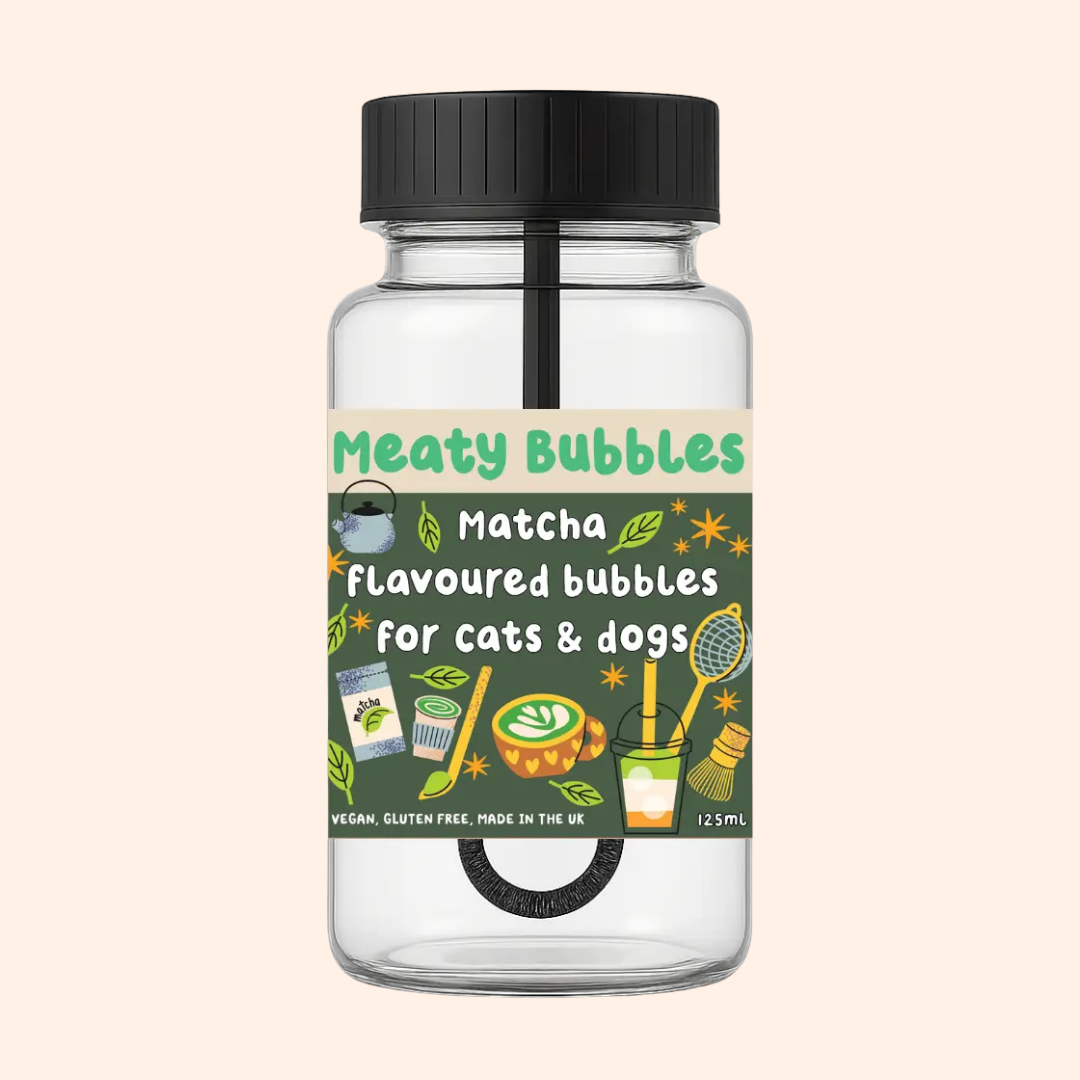 Bulles pour chien & chat matcha – 125 ml – Meaty Bubbles