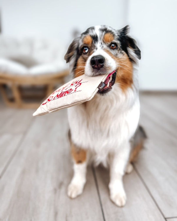 Peluche pour chien - Love Bug - Lettre d'amour.