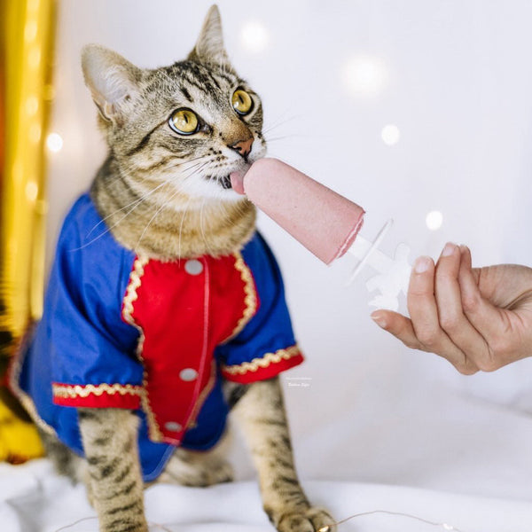 Mix pour glace pour chien & chat – Cooka's Cookies – photo 6