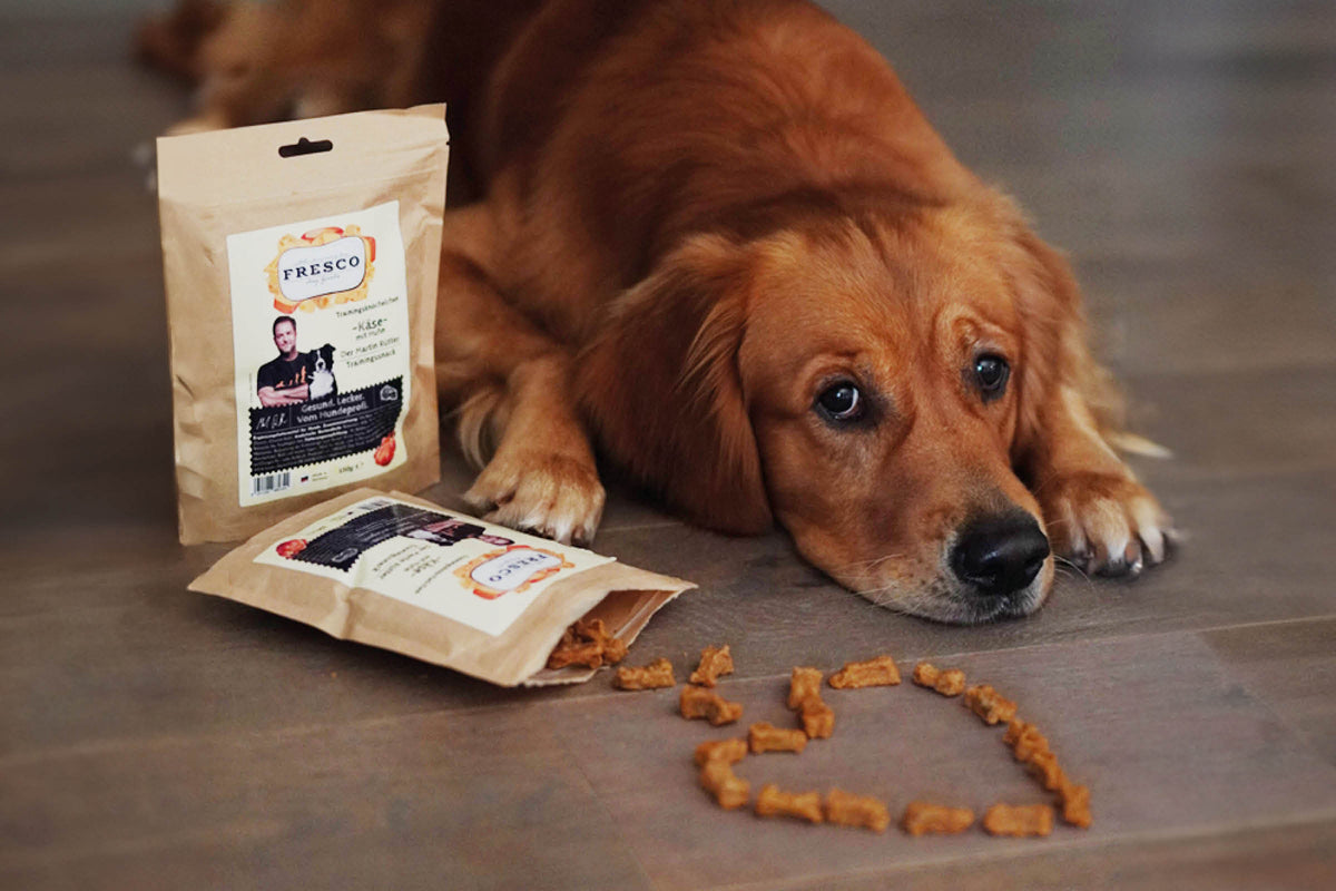 Chien roux allongé sur parquet près d'un cœur de friandises
