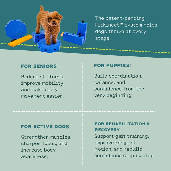 FitPaws FitKinect Xtra — Système d’entraînement modulable complet pour chiens — PRÉCOMMANDE