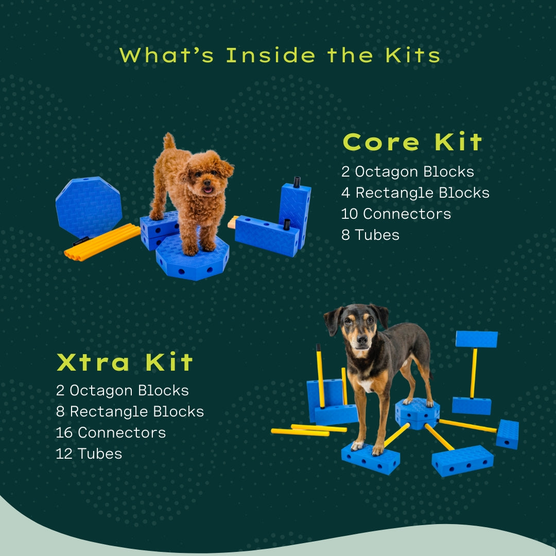 Schéma sur fond vert du contenu des kits Core et Xtra