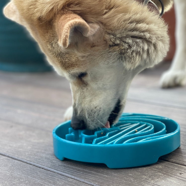 Gamelle anti-glouton pour chien eTray Baja – SodaPup – photo 5
