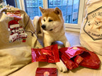 Hotte de Noël 2026 pour chien – calendrier de l’avent - 26 surprises