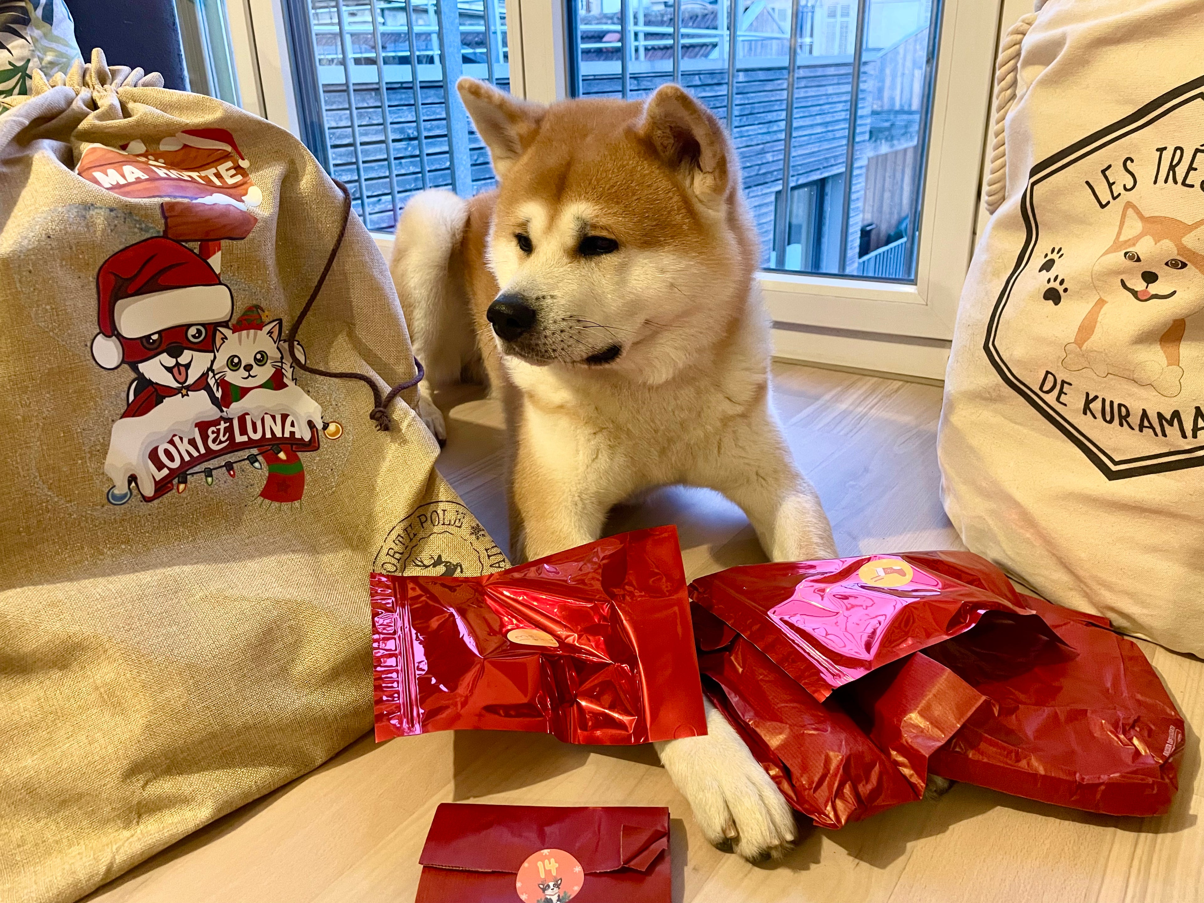 Hotte de Noël 2026 pour chien – calendrier de l’avent - 26 surprises