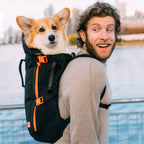 Homme souriant portant un corgi dans le sac noir au bord de l'eau