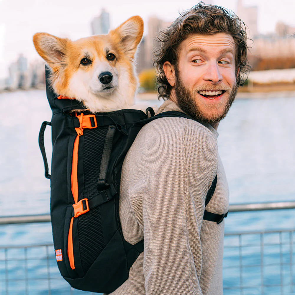 Homme souriant portant un corgi dans le sac noir au bord de l'eau