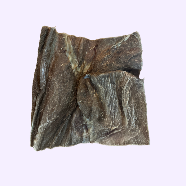 Plaque de Tripe de Bœuf – Friandise naturelle pour chien