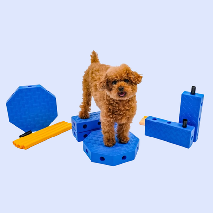 Forme & agilité FitPaws