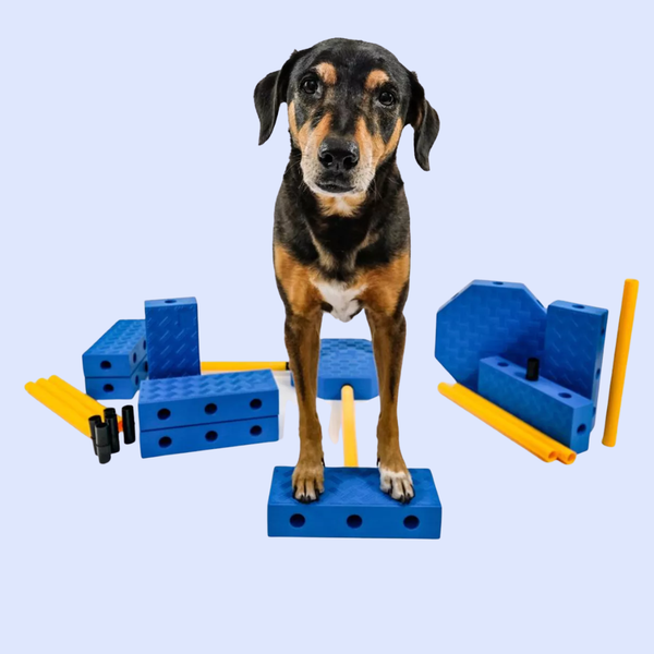 FitPaws FitKinect Xtra — Système d’entraînement modulable complet pour chiens — PRÉCOMMANDE