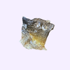 Peaux de carpes déshydratées — 100 g
