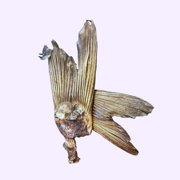 Queues de carpe déshydratées — 100 g