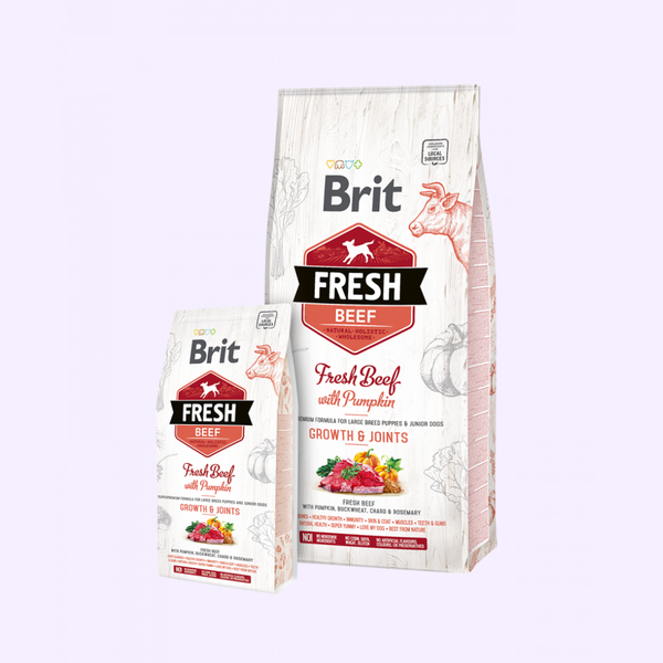 Brit Fresh Beef with Pumpkin – Puppy Large Bones & Joints
