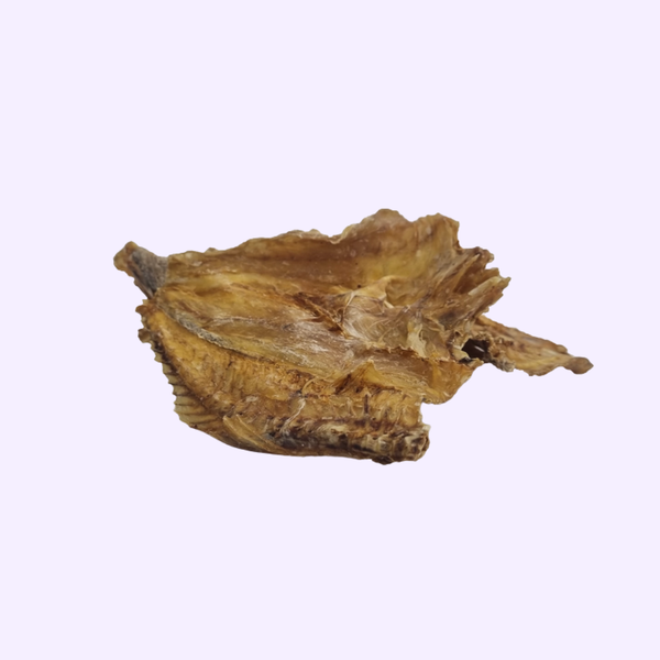 Peau de morue pour chien – Friandise naturelle séchée-100G