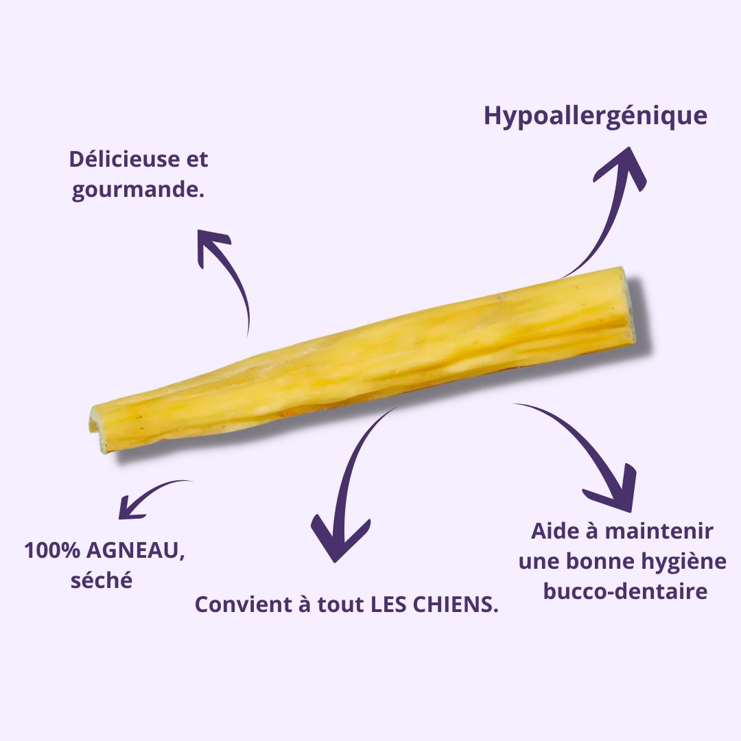 Peau d'agneau pour chien – mastication naturelle – 100 g