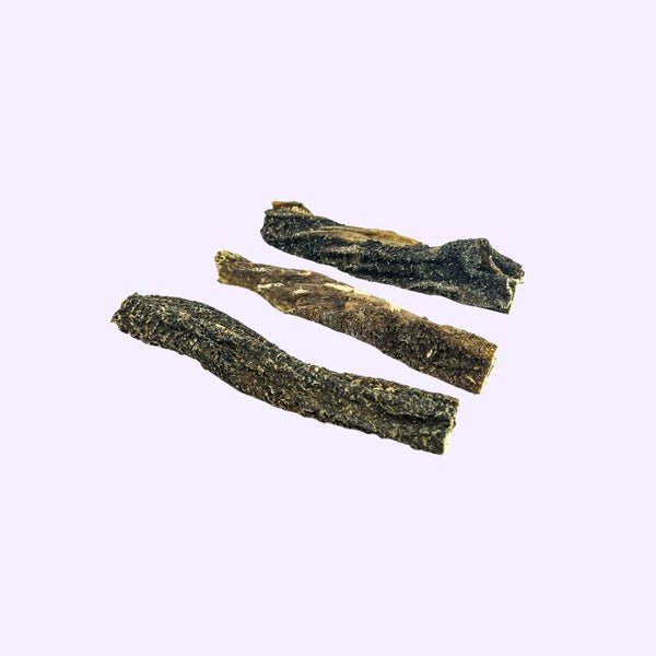Tripes de Bœuf Séchées – Friandise naturelle pour chien