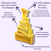 Mastication - Fromage De Yak