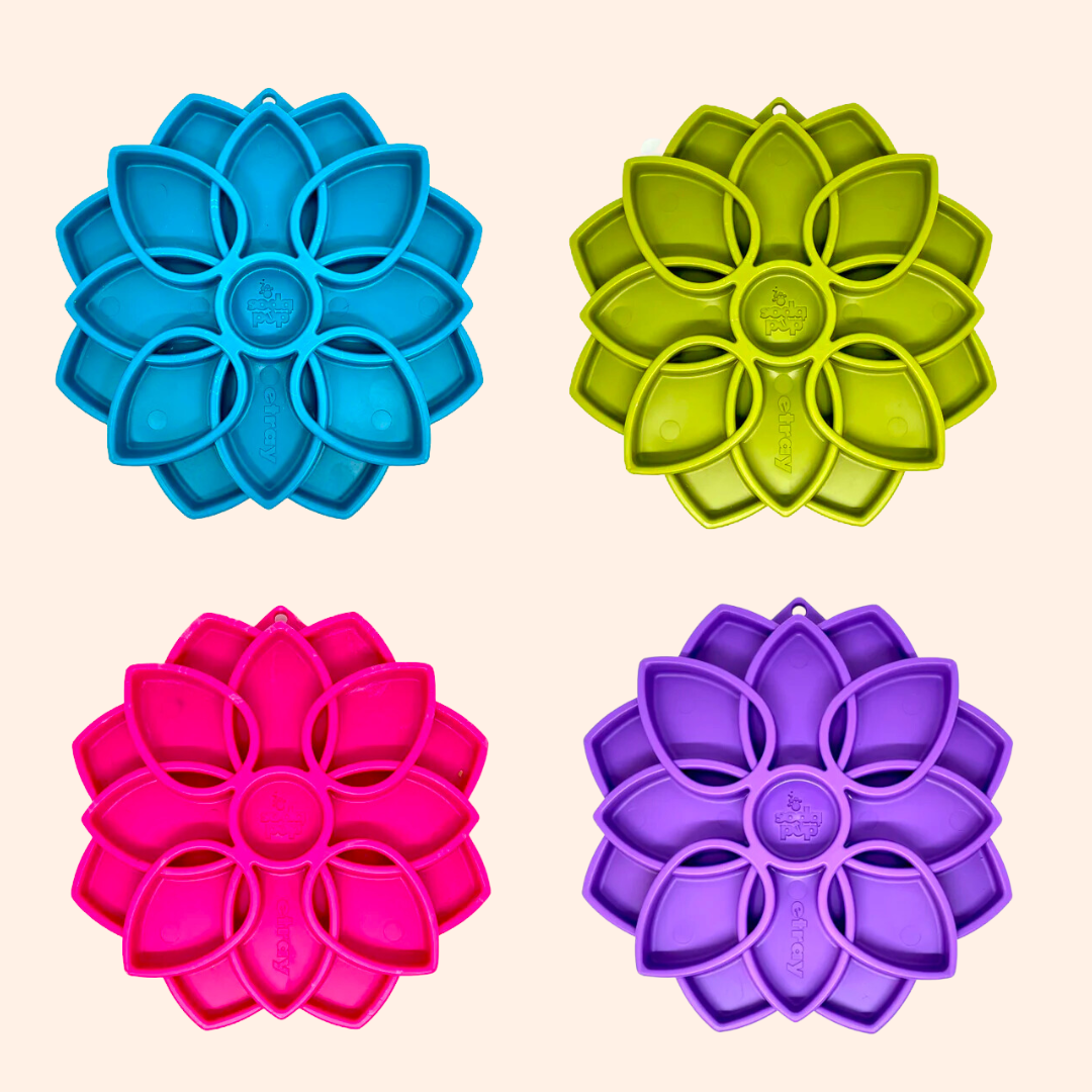 Plateau anti-glouton pour chien Mandala – SodaPup