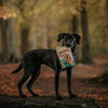 Papaye séchée pour chien Soopa – mastication naturelle – 85 g – photo 4
