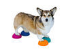 FitPAWS Paw Pods – Plateforme antidérapante d’équilibre pour chiens (Lot de 4) — PRÉCOMMANDE