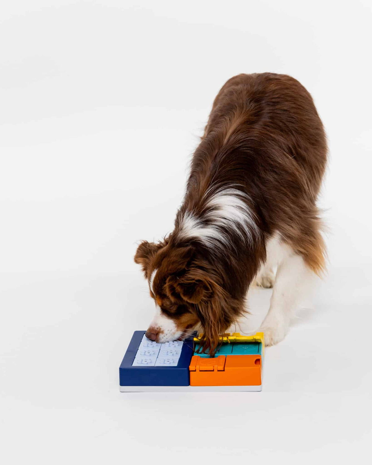 Jeu d'intelligence pour chien & chat Smarty Set – Pawzler – niveau 2