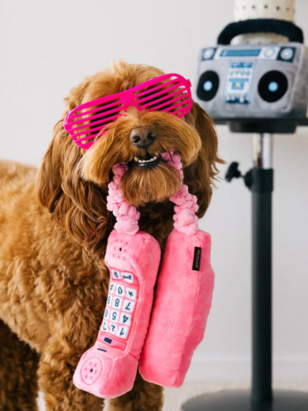 Caniche roux à lunettes cœur qui tient le combiné rose