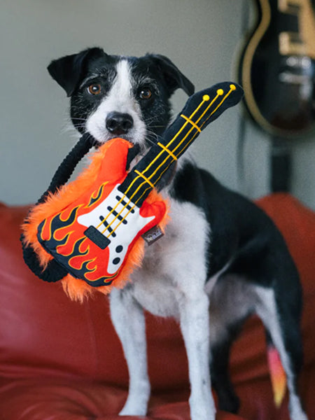 Chien noir et blanc tenant la guitare flamboyante dans la gueule