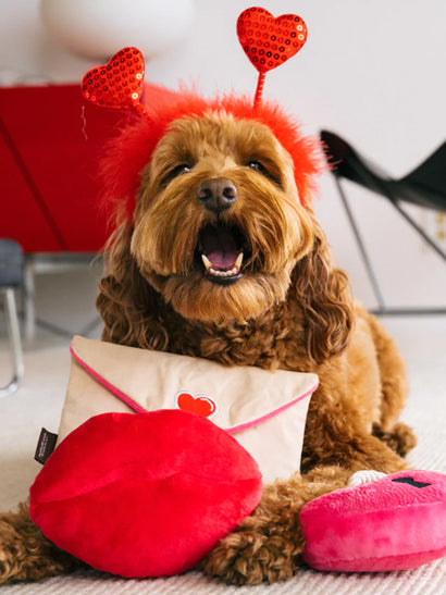 Caniche roux avec serre-tête cœur, entouré de peluches de Saint-Valentin