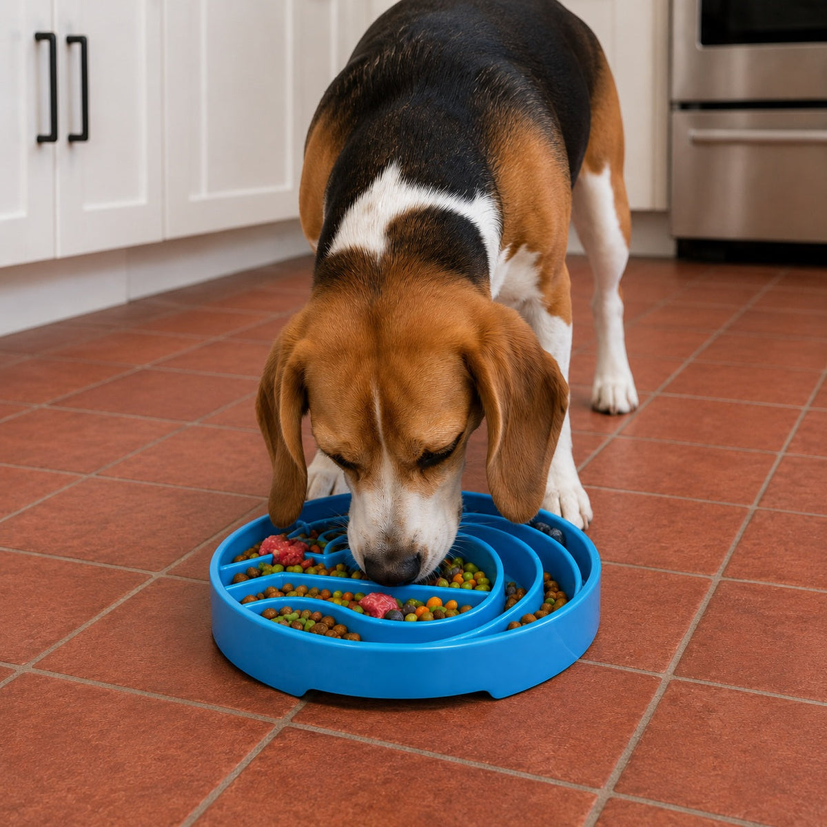 Gamelle anti-glouton pour chien eTray Baja – SodaPup – photo 3