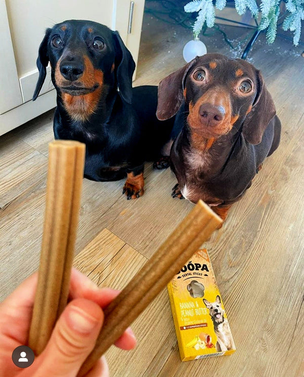 Bâtonnets Dentaires SOOPA à La Banane et au beurre de cacahuète pour chiens